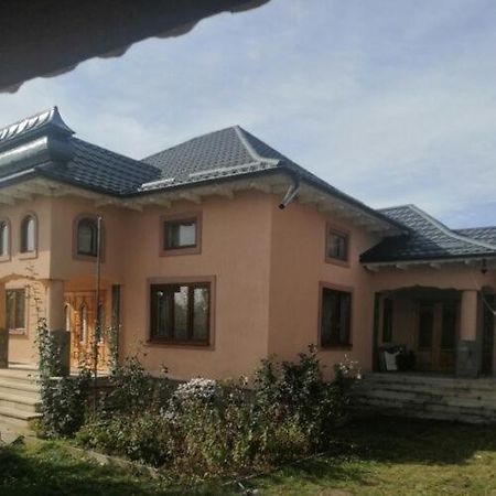 Casa Ilea -Agapia Βίλα Εξωτερικό φωτογραφία