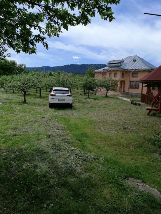Casa Ilea -Agapia Βίλα Εξωτερικό φωτογραφία