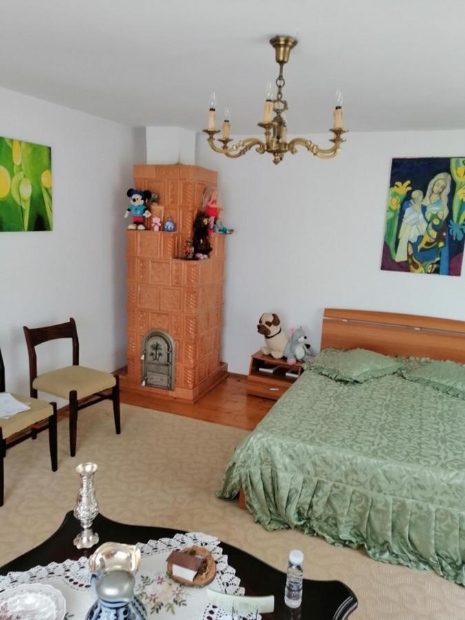 Casa Ilea -Agapia Βίλα Εξωτερικό φωτογραφία