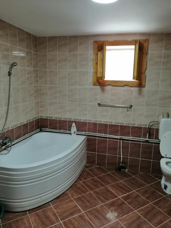 Casa Ilea -Agapia Βίλα Εξωτερικό φωτογραφία