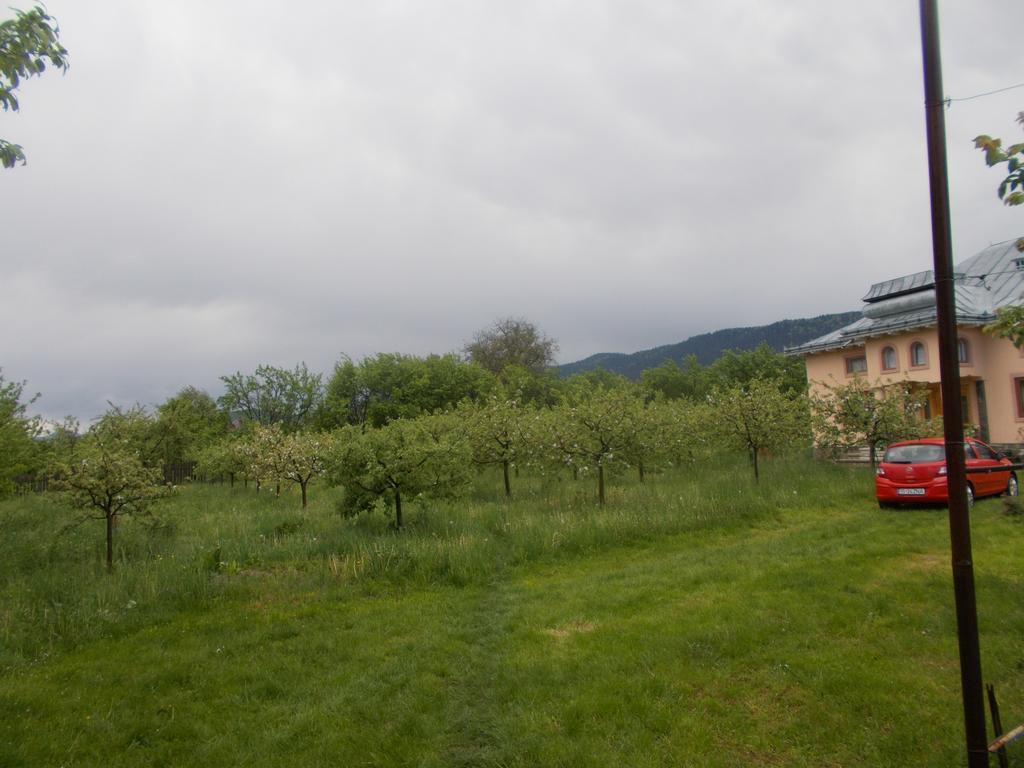 Casa Ilea -Agapia Βίλα Εξωτερικό φωτογραφία